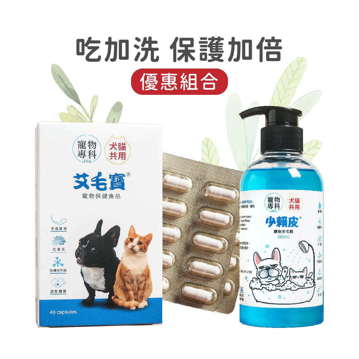 艾毛寶＋少賴皮優惠組(少賴皮效期2027/1，買一贈一)