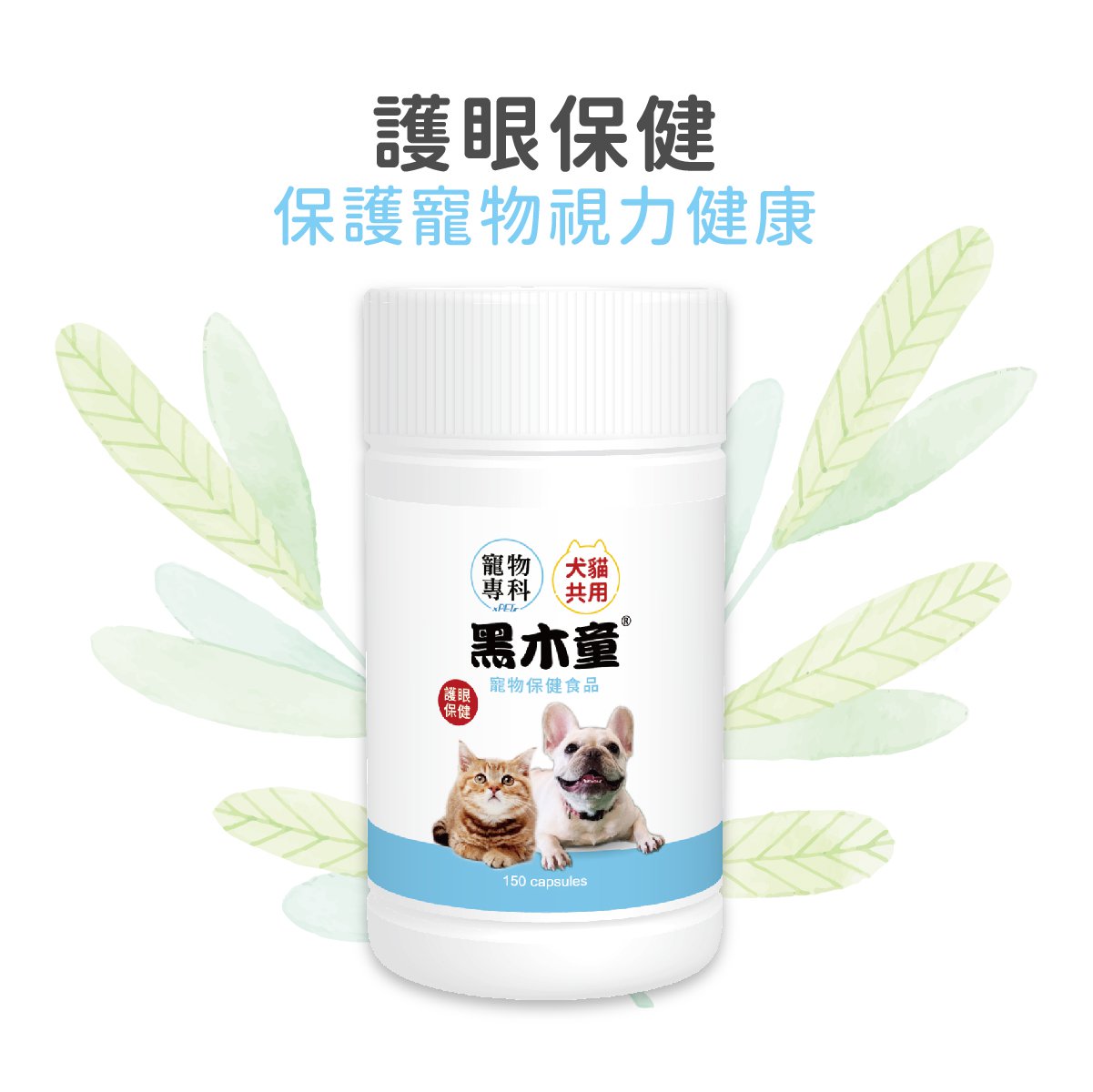 寵物護眼專用黑木童