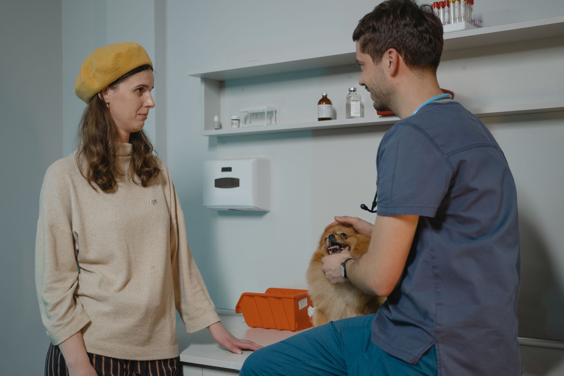 Do Pets Need Supplements? A Practical Guide for Dog and Cat Owners
