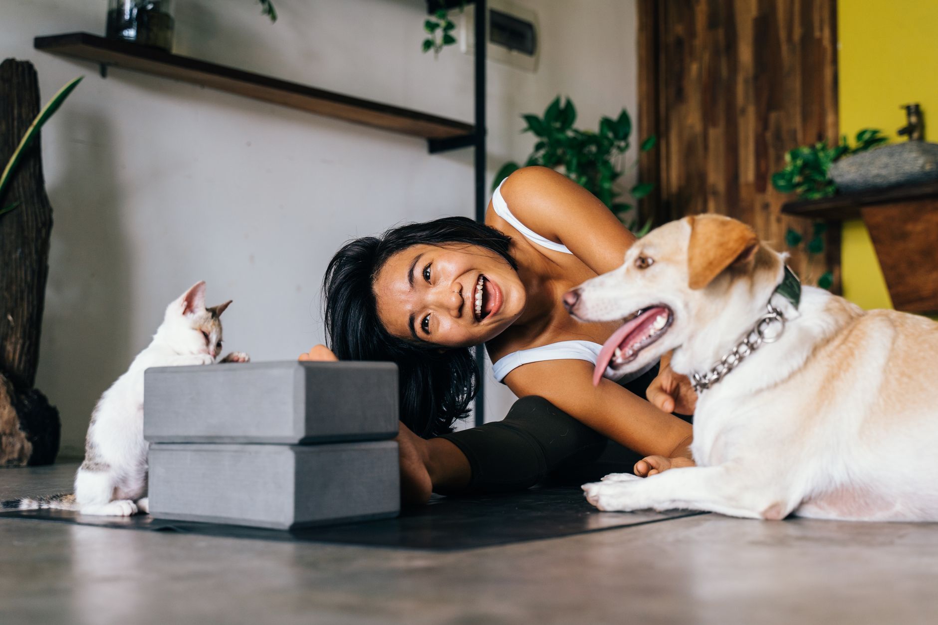在家幫毛孩做健康自我檢查：犬貓飼主實用指南